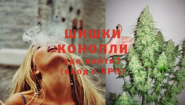 амф Абаза