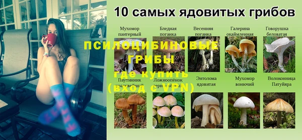амф Абаза