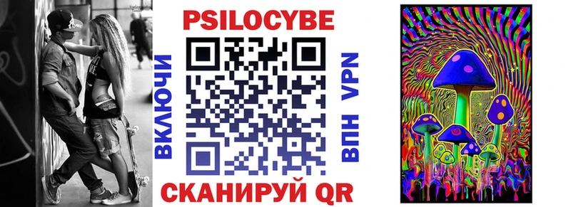 Псилоцибиновые грибы Psilocybe  купить закладку  Приморско-Ахтарск 